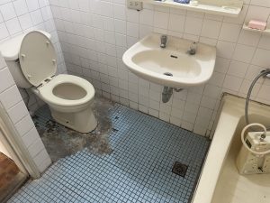 274724CB-2135-46E6-8E29-0A4CBEAAB549