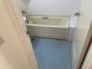 C63A53B7-841F-407A-AEA1-551025172004